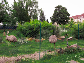#Solibund #porz #emus# wildlife #vögel - EMU-Galerie :)